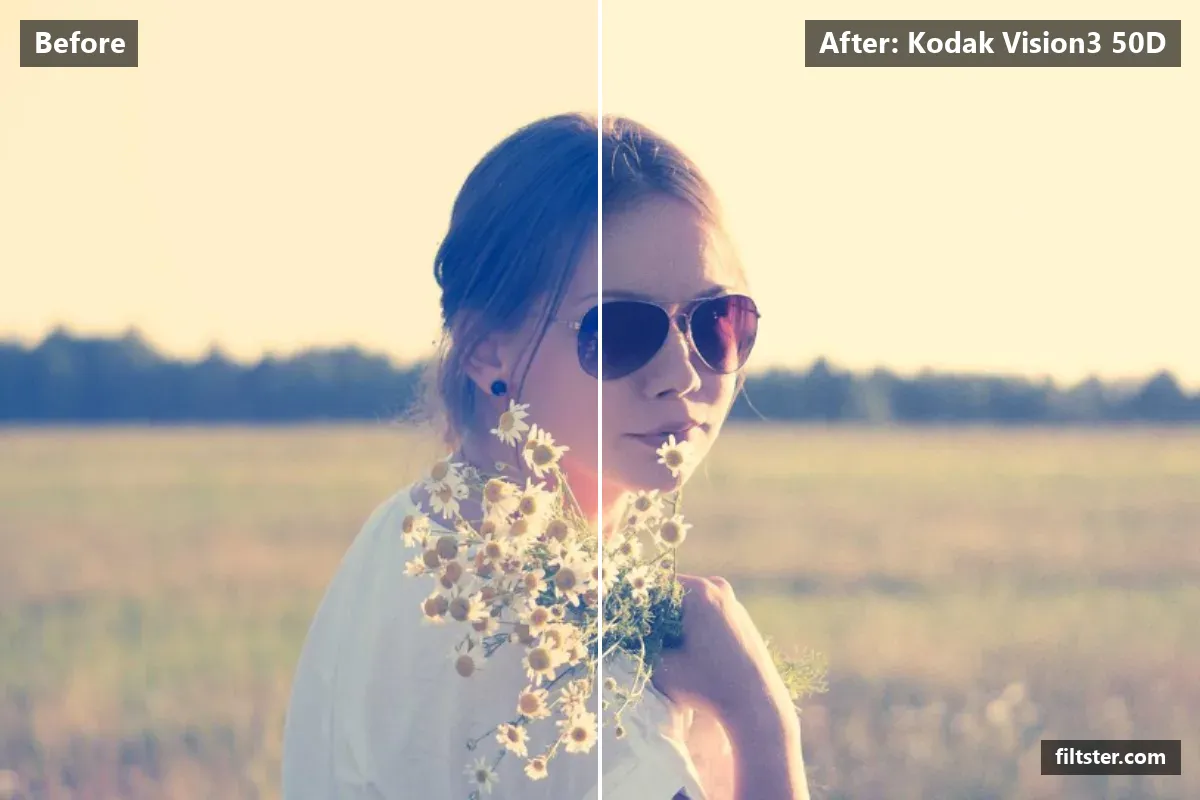 Kodak Vision3 50D filter before and after. Brightens the whole frame and recovers bright highlights.
