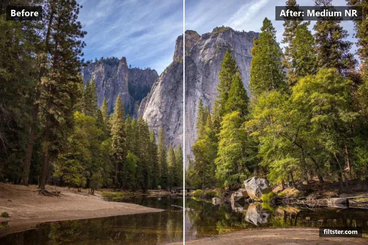 Medium NR filter before and after. A subtle, balanced colour treatment that keeps the photo natural.