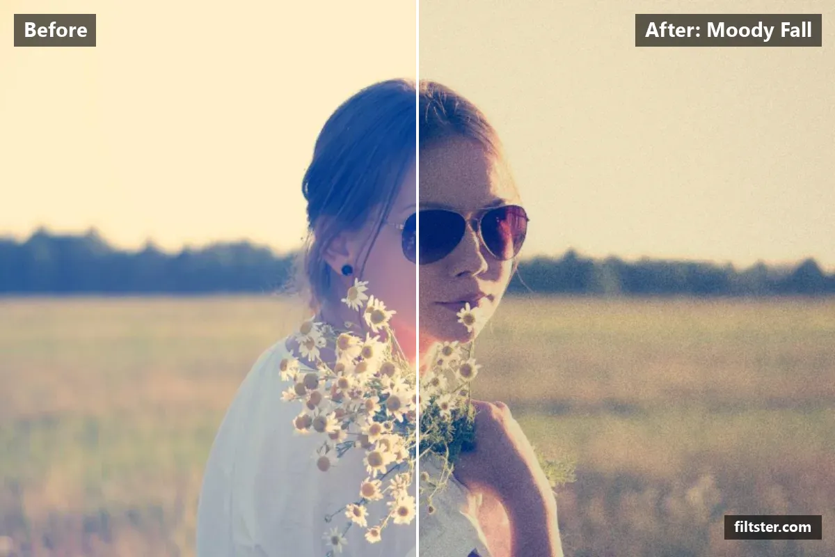 Moody Fall filter before and after. Darkens the exposure for a moodier feel, adds strong contrast, recovers bright highlights, adds a blue cast to the shadows, adds film grain and darkens the corners with a vignette.