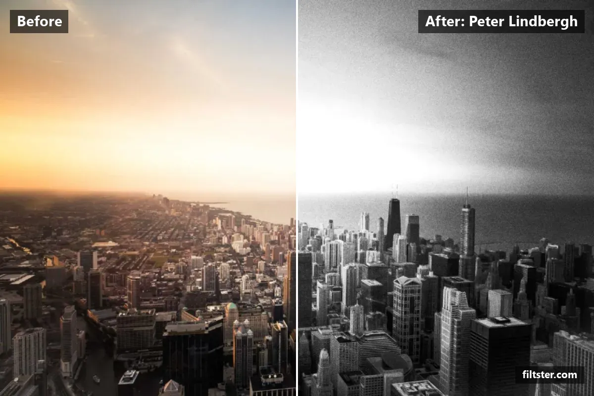 Peter Lindbergh filter before and after. Turns the picture black and white, opens up the shadows, recovers bright highlights and adds film grain.