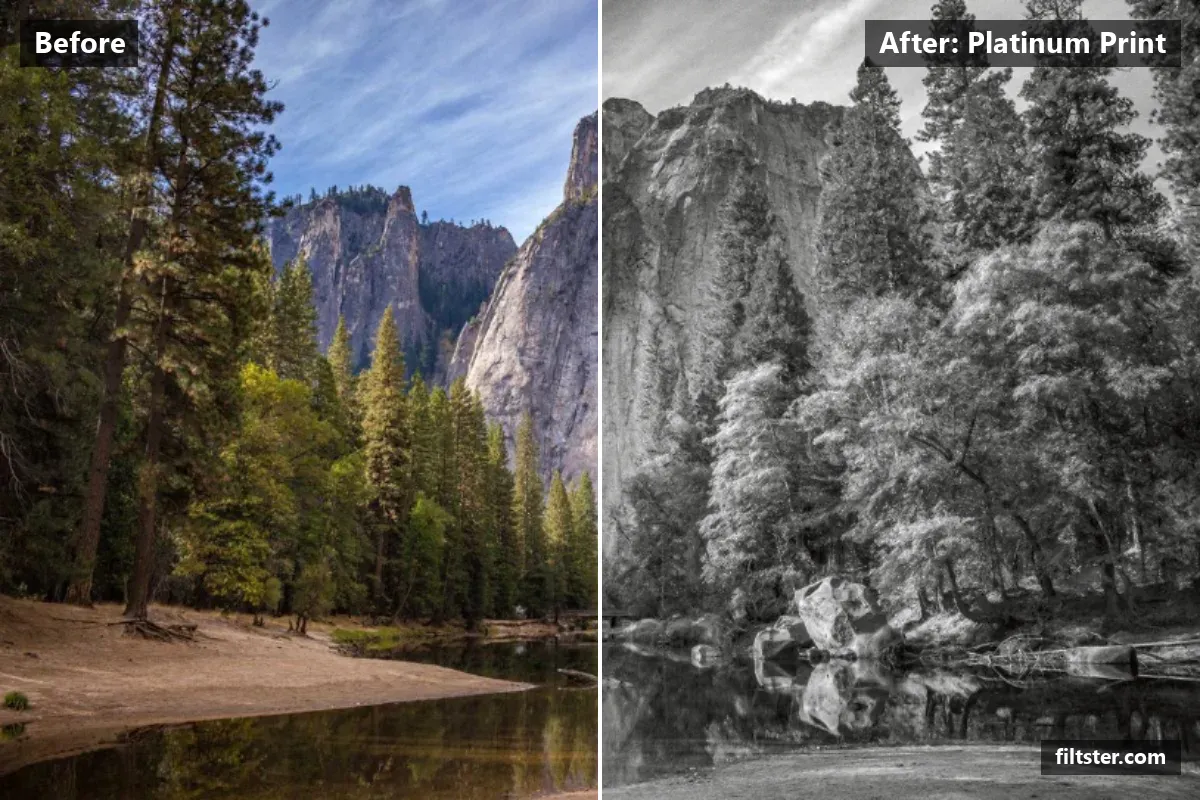 Platinum Print filter before and after. Turns the picture black and white and adds film grain.