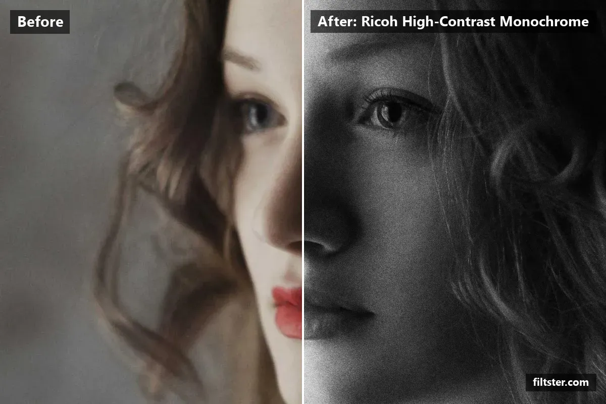 Ricoh High-Contrast Monochrome filter before and after. Turns the picture black and white, adds strong contrast, recovers bright highlights and adds film grain.