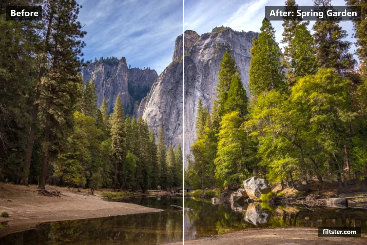 Spring Garden filter before and after. Brightens the whole frame, opens up the shadows and recovers bright highlights.