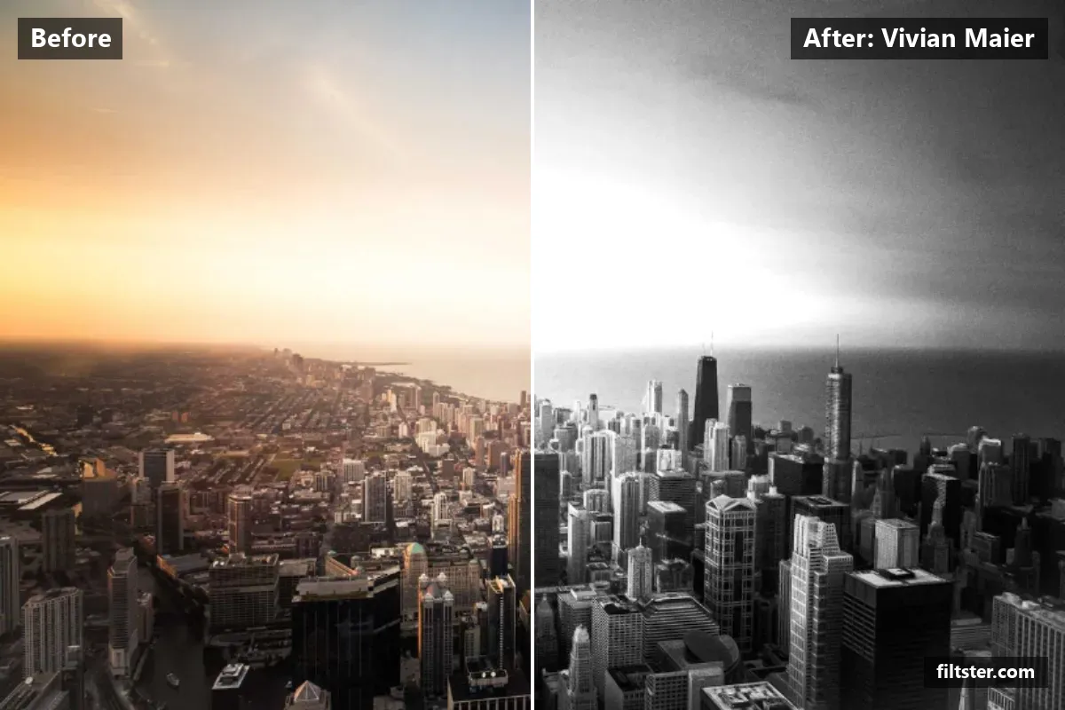 Vivian Maier filter before and after. Turns the picture black and white and adds film grain.