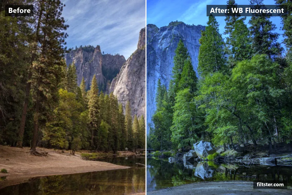 WB Fluorescent filter before and after. Cools the colours down.