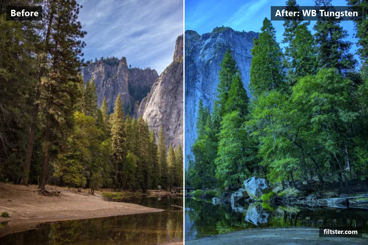 WB Tungsten filter before and after. Cools the colours down.