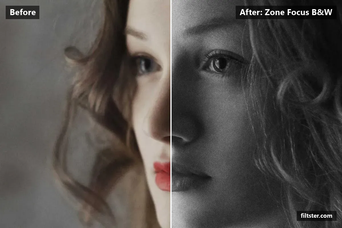 Zone Focus B&W filter before and after. Turns the picture black and white, adds strong contrast and adds film grain.