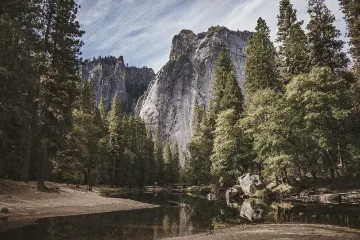 Albumen Print filter example