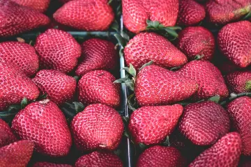 Clean Bright Food filter example