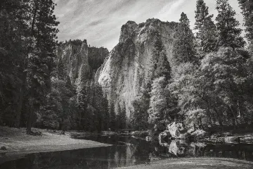 Cyanotype Tea-Toned filter example