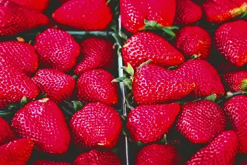 Food Flatlay filter example