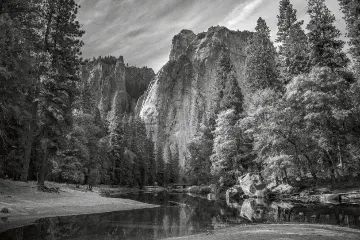 Platinum Print filter example