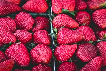 Vibrant Field Action filter example
