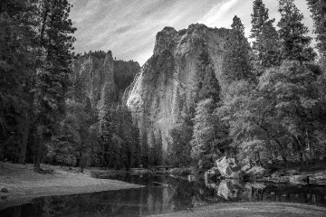 Wet Plate Ambrotype filter example