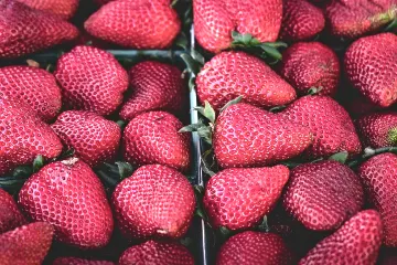 White BG E-Commerce filter example